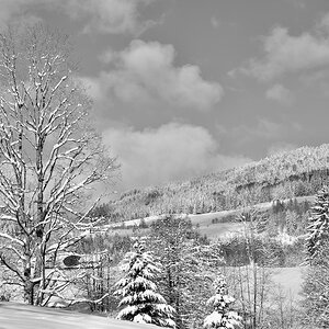 DSC_6441.jpeg