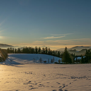 20220115-DSC_7753.jpg