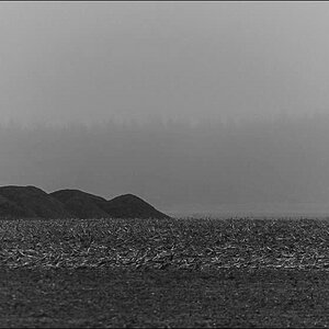 Nebel in der Feldmark (1 von 1).JPG