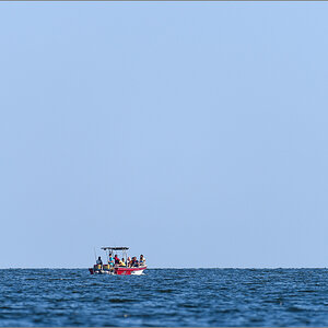 D50_9789.jpg
