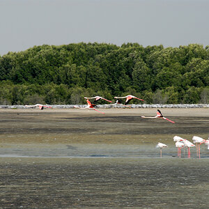 DSC_1237.jpg