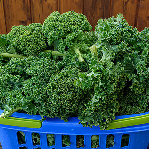 F25_4937.jpg