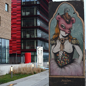 DSC_4726.JPG