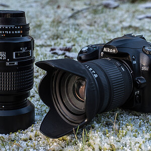 D 50 (1 von 1).JPG