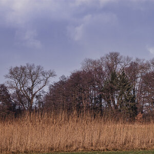 DSC_0001#_335#.JPG