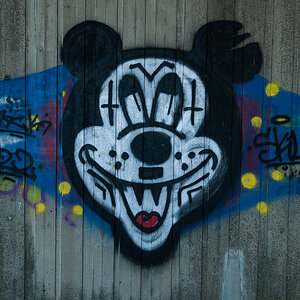 Micky (1 von 1).JPG