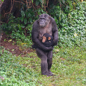 D75_6570-Bearbeitet.jpg