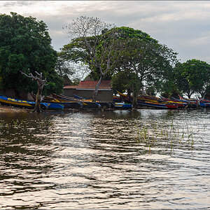 D75_6692.jpg