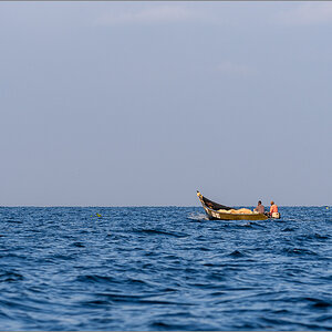 D50_0264.jpg
