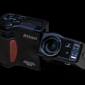 _Z7F8243-_356#.JPG