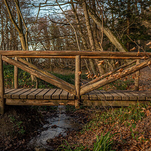 20220123-NZ6_6828.jpg