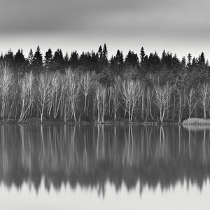 _DSC3227 1.jpg