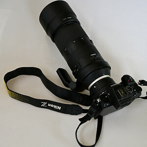 z50_100-40002.JPG