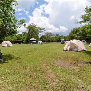 D75_6936.jpg