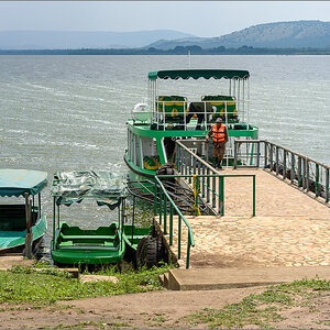 D75_6938.jpg
