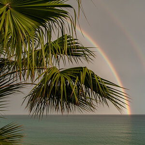 DSD_2183.jpg