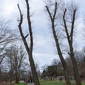 OF2_55159.jpg