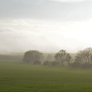 DSC_3966 (3)n.JPG