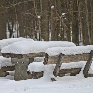 850_0266.jpg