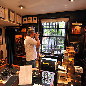 Greys of Westminster 1.jpg