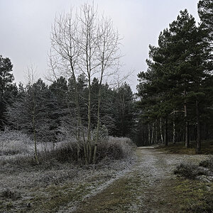 Die Bank im Wald und auf der Heide....jpg