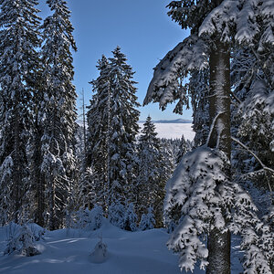 850_0075.jpg