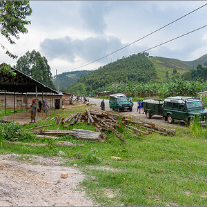 D75_7096.jpg