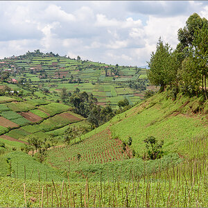 D75_7151.jpg