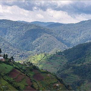 D75_7158.jpg