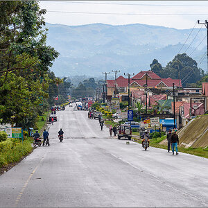 D75_7338.jpg