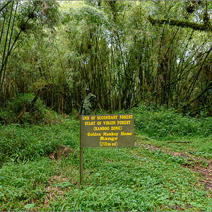 D75_7382.jpg