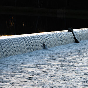 Z7H_1437.jpg