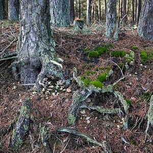 An der Böschung (1 von 1).jpg