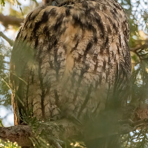 20220211-D50_6987-Bearbeitet.jpg