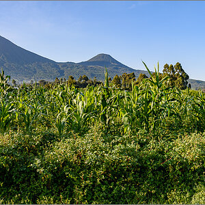 D75_7344-Pano.jpg