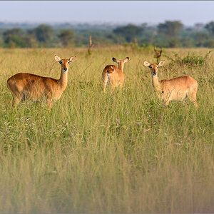 D75_7986.jpg