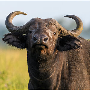 D50_2492.jpg