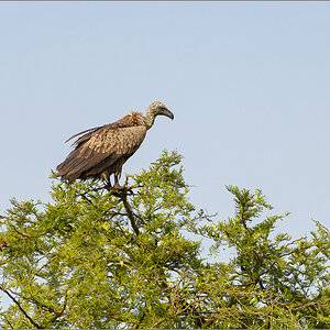 D50_2625-Bearbeitet.jpg