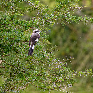 D50_2882.jpg