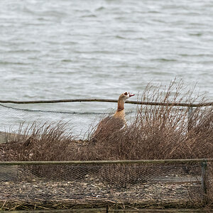 20220216-D50_7080-Bearbeitet.jpg