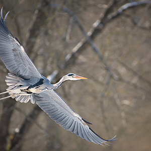 DSC_5031-Bearbeitet-1.jpg