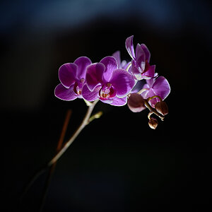 9-365.jpg