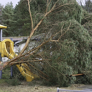 Ist nicht so viel kaputt wie erst angenommen wurde.jpg
