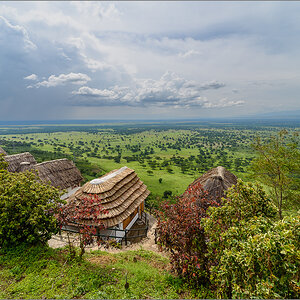D75_8251.jpg