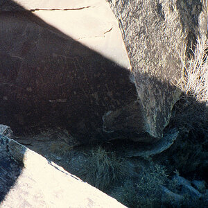 img103.jpg