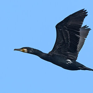OF5_18529.jpg