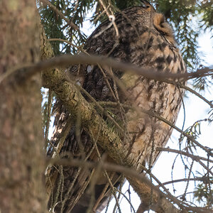 20220228-D50_7097-Bearbeitet.jpg