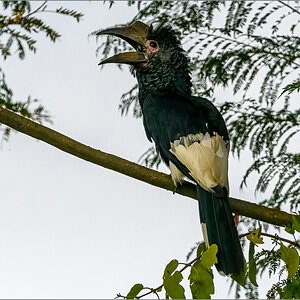 D50_4269-Bearbeitet.jpg