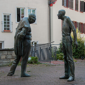 DSC_7246-1.jpg