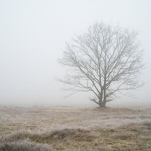 Märznebel (1 von 1).jpg